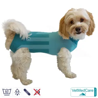 Dog Recovery Suit "Comfort" - UNISEX: The Professional Post-Operative Alternative to the Elizabethan Collar | VetMedCare® 10 VetMedCare Comfort Dog Recovery Suit (Unisex)