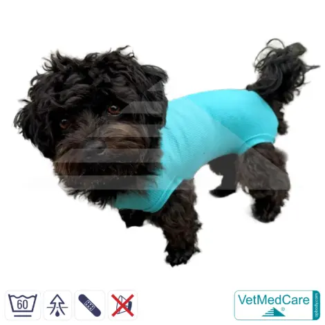 Dog Recovery Suit "Comfort" - UNISEX: The Professional Post-Operative Alternative to the Elizabethan Collar | VetMedCare® 16 VetMedCare Comfort Dog Recovery Suit (Unisex)