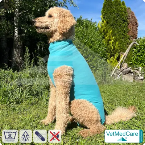 Dog Recovery Suit "Comfort" - UNISEX: The Professional Post-Operative Alternative to the Elizabethan Collar | VetMedCare® 15 VetMedCare Comfort Dog Recovery Suit (Unisex)