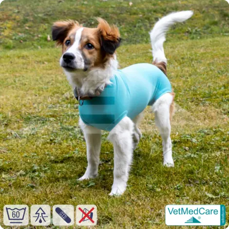 Dog Recovery Suit "Comfort" - UNISEX: The Professional Post-Operative Alternative to the Elizabethan Collar | VetMedCare® 14 VetMedCare Comfort Dog Recovery Suit (Unisex)