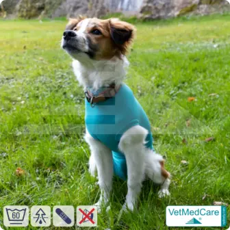 Dog Recovery Suit "Comfort" - UNISEX: The Professional Post-Operative Alternative to the Elizabethan Collar | VetMedCare® 13 VetMedCare Comfort Dog Recovery Suit (Unisex)