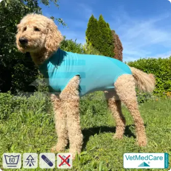 Dog Recovery Suit "Comfort" - UNISEX: The Professional Post-Operative Alternative to the Elizabethan Collar | VetMedCare® 12 VetMedCare Comfort Dog Recovery Suit (Unisex)