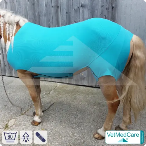 VetMedCare Equine Body Suit | Horse bodysuit | Fly protection, mosquito, insect protection