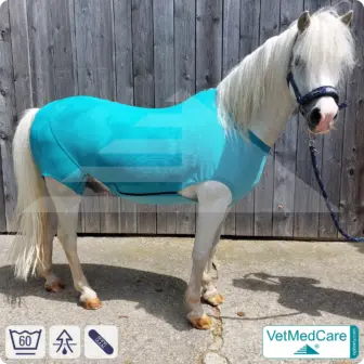 VetMedCare Equine Body Suit | Horse bodysuit | Fly protection, mosquito, insect protection