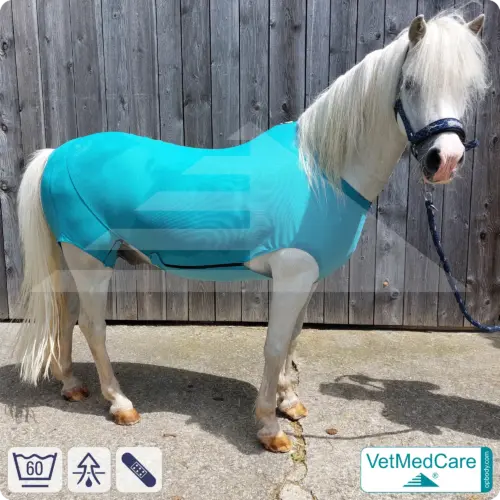 VetMedCare Equine Body Suit: Where Medical Wound Care Meets High-Tech Insect Protection