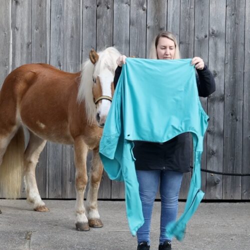 VetMedCare Equine Body Suit | Horse bodysuit | Fly protection, mosquito, insect protection