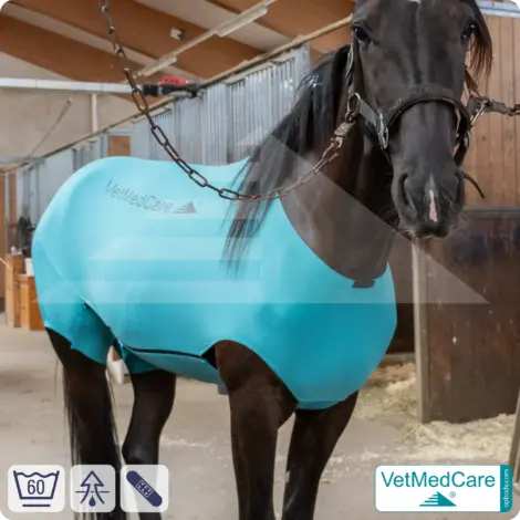 VetMedCare Equine Body Suit: Where Medical Wound Care Meets High-Tech Insect Protection 6 VetMedCare Equine Body Suit | Horse bodysuit | Fly protection, mosquito, insect protection