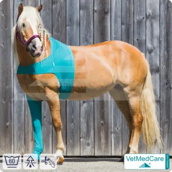 Horse wound protection / leg protection for the horse legs - foreleg | left and right fitting | VetMedCare® 6 Horse wound protection / leg protection for the horse legs - foreleg | left and right fitting | VetMedCare®
